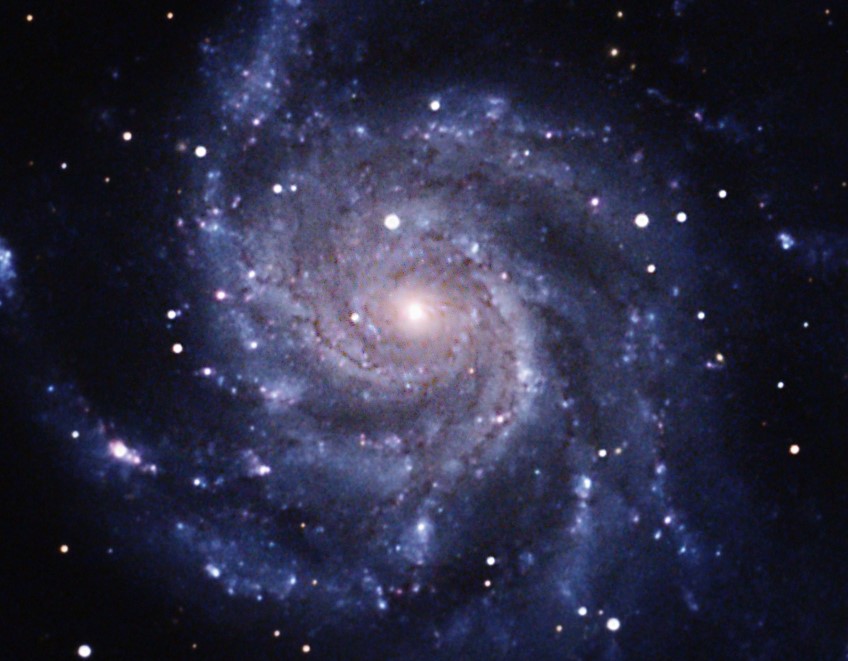 M101 Faceup2
